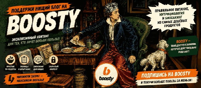 Баннер Boosty — поддержать проект